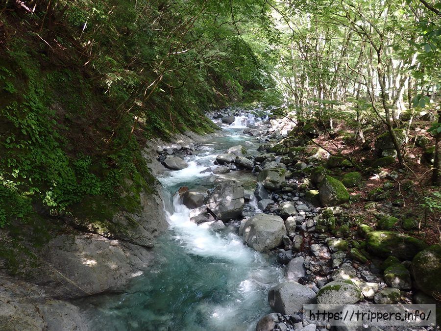 西丹沢の渓流