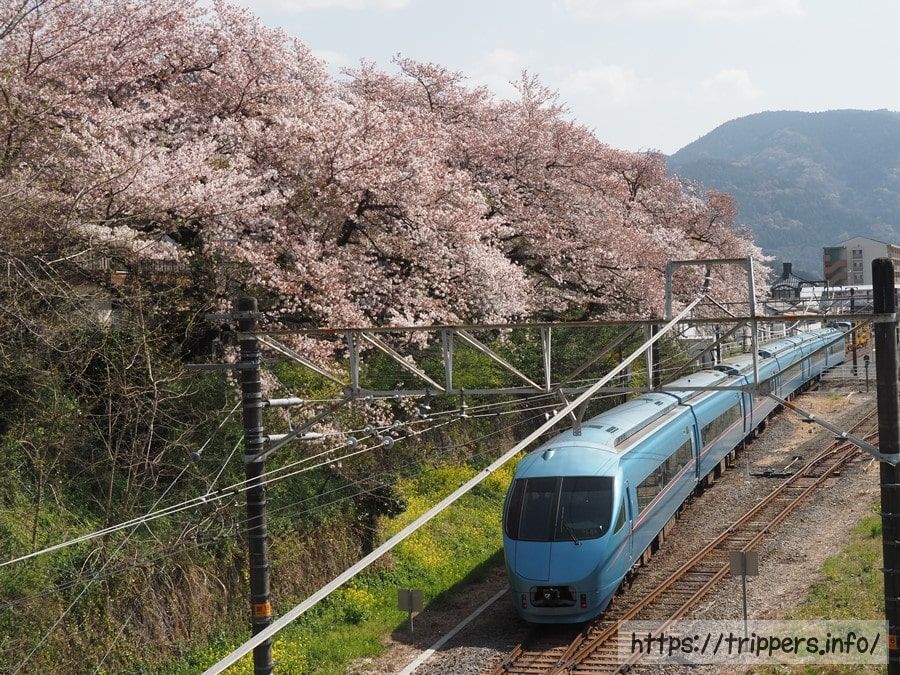 山北駅にある桜と電車の景色